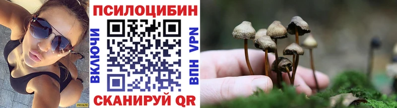 Галлюциногенные грибы мухоморы  Купить закладки  Починок 